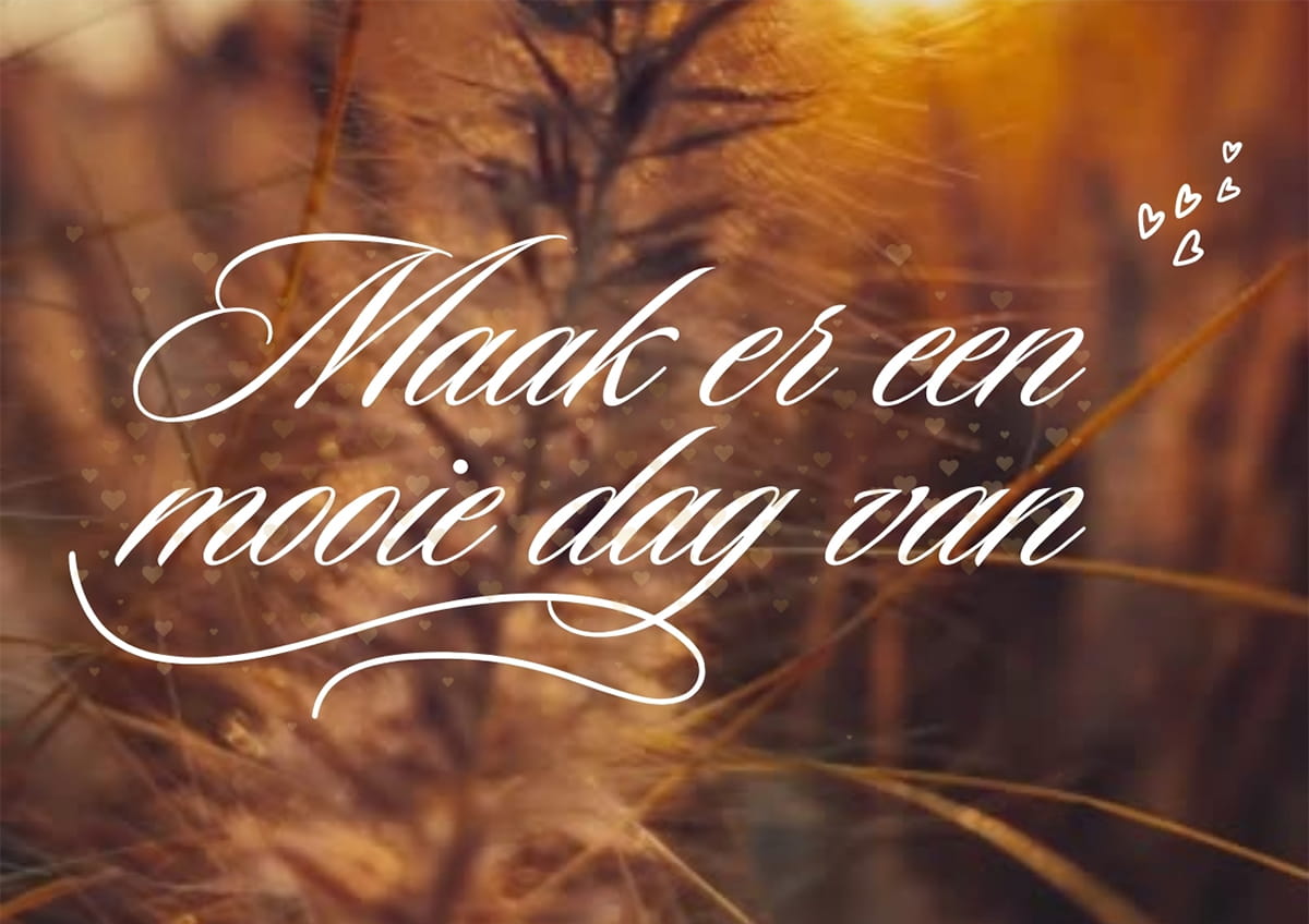 Maak er een mooie dag van met deze 5 tips Maak er een mooie dag van