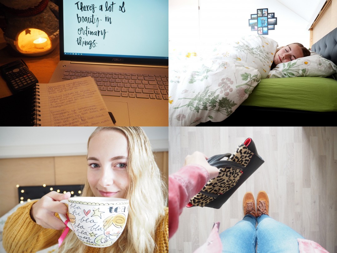 DIARY #13: YOUTUBE & HERTENTAMENS LEREN