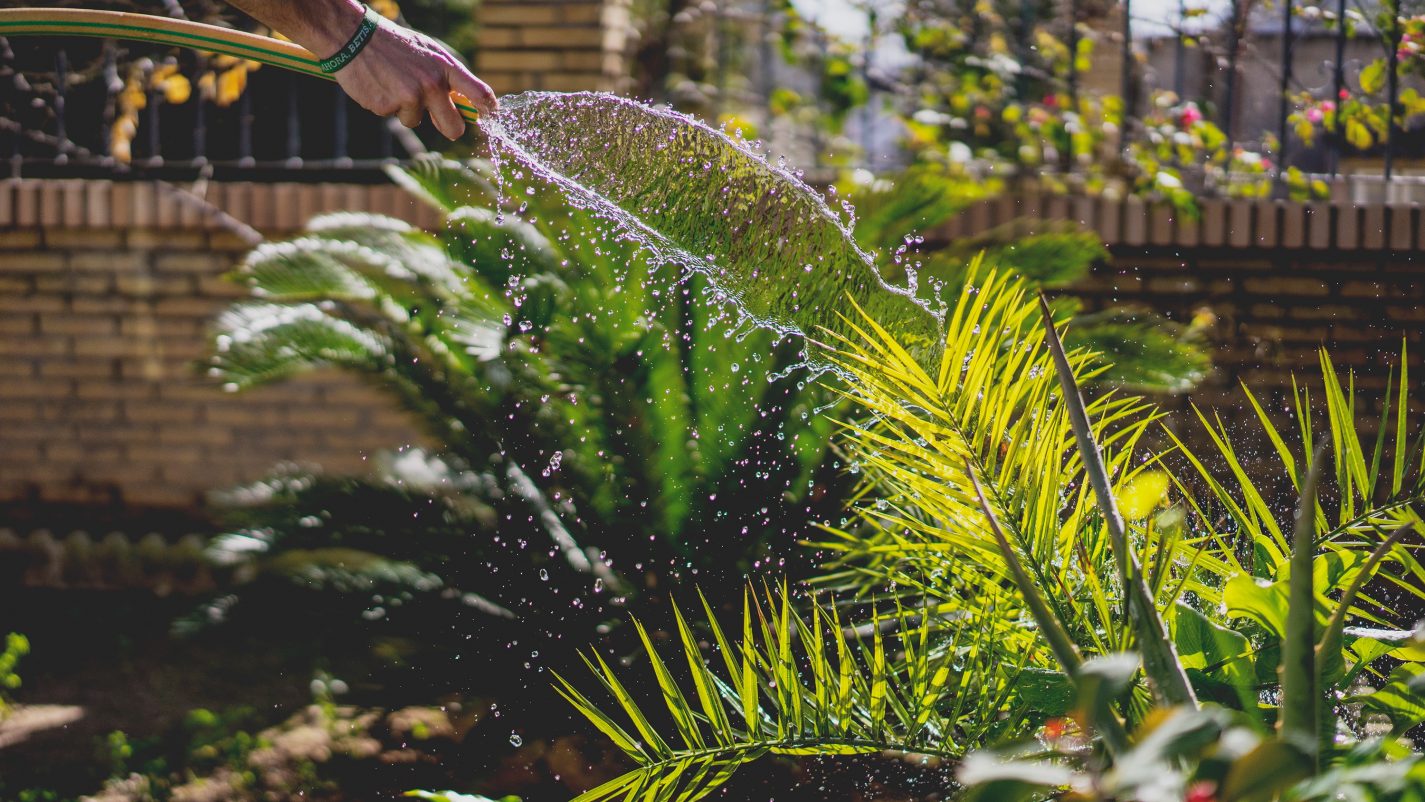 3x snel je tuin opknappen