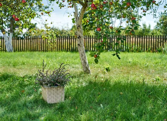 Dit kun je allemaal realiseren met tuinhout Dit kun je allemaal realiseren met tuinhout