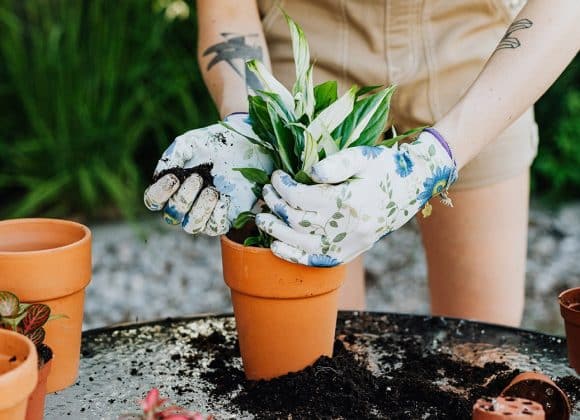 Geef de tuin een complete make-over met Intratuin