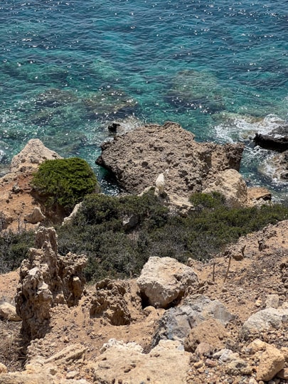 Uitzichtpunt op zee met een berggeit bij het water op Rhodos