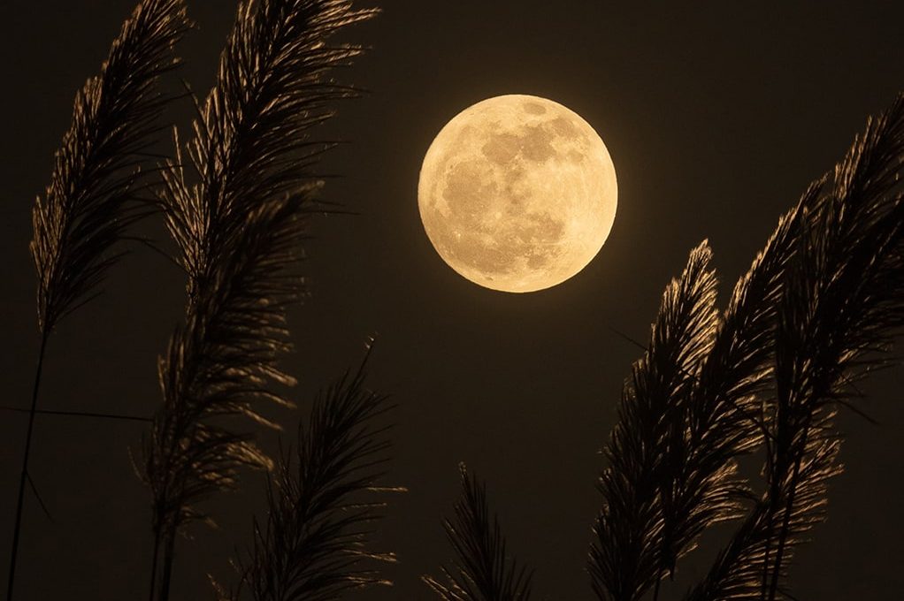 De volle maan betekenis & alles over jouw emoties De volle maan betekenis & alles over jouw emoties