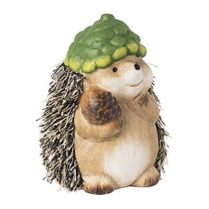 Egel met dennenappelhoed